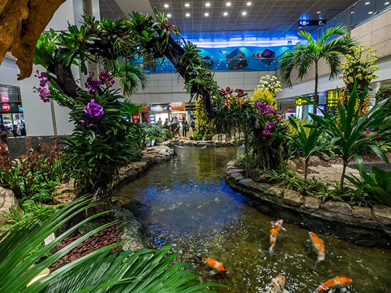 Spot Instagramable Changi Airport